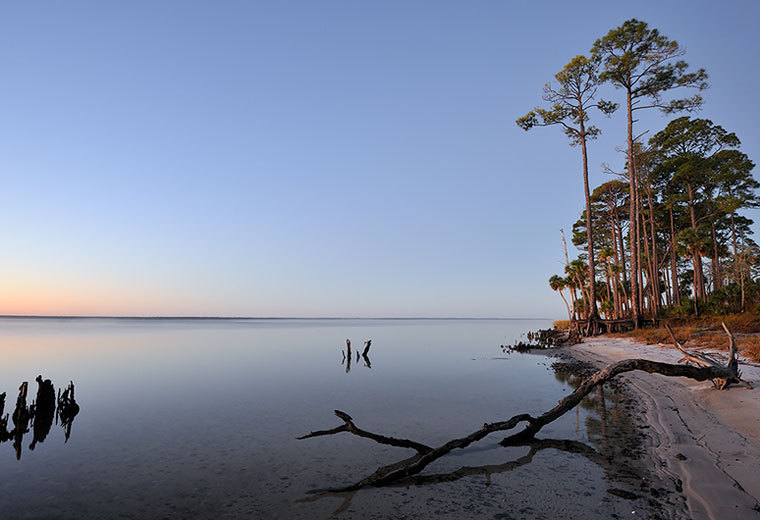  : ST. JOE PENNISULA : Gregory Anderson: Deerfield Beach Florida Photography