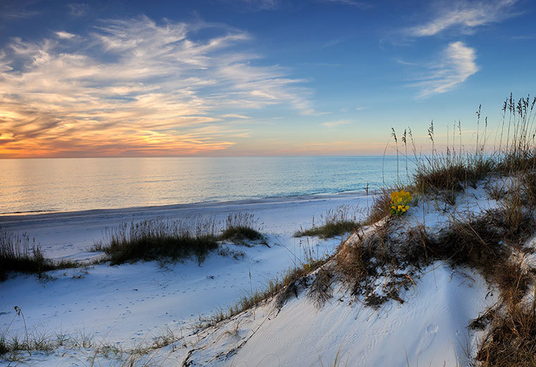  : ST. JOE PENNISULA : Gregory Anderson: Deerfield Beach Florida Photography