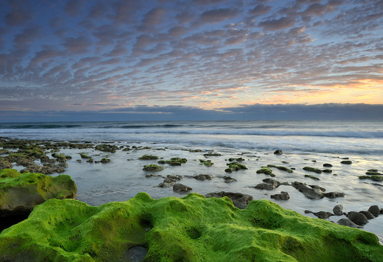  : CORAL COVE 12-29-2011 : Gregory Anderson: Deerfield Beach Florida Photography