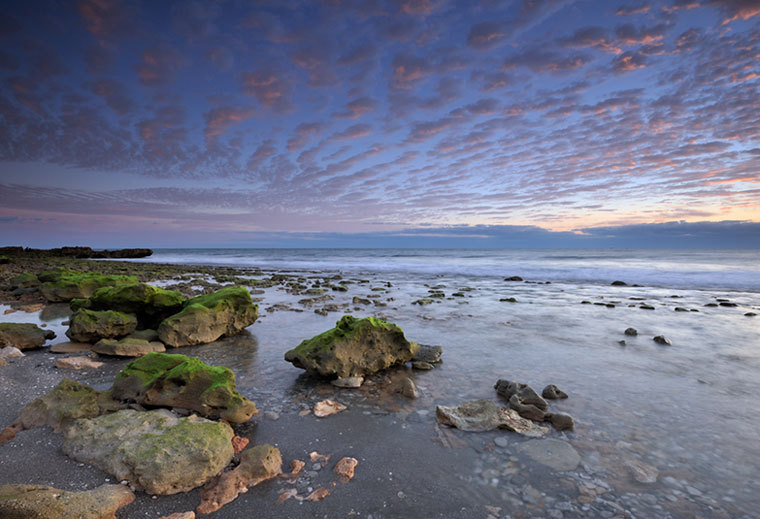  : CORAL COVE 12-29-2011 : Gregory Anderson: Deerfield Beach Florida Photography