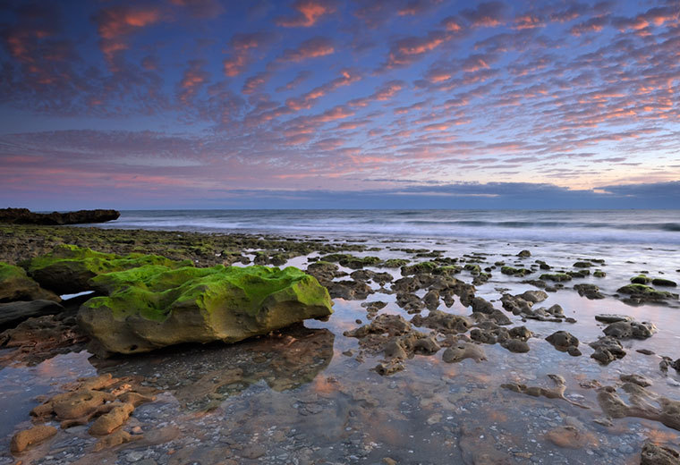  : CORAL COVE 12-29-2011 : Gregory Anderson: Deerfield Beach Florida Photography