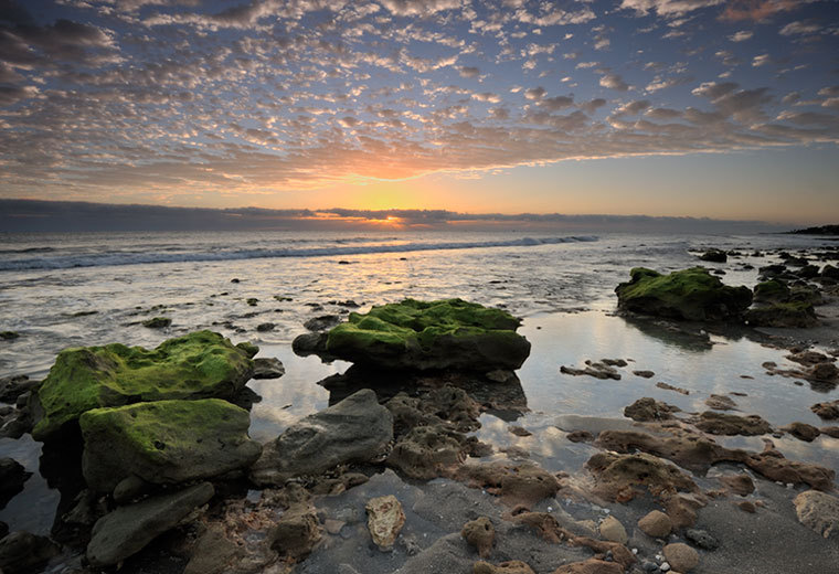  : CORAL COVE 12-29-2011 : Gregory Anderson: Deerfield Beach Florida Photography