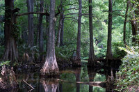 FLORIDA'S INTERIOR